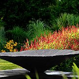 vasque au jardin contemporain et persicaria.jpg